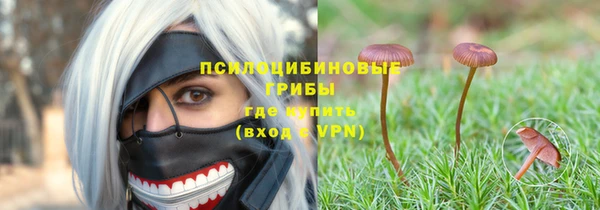 СК Алексин
