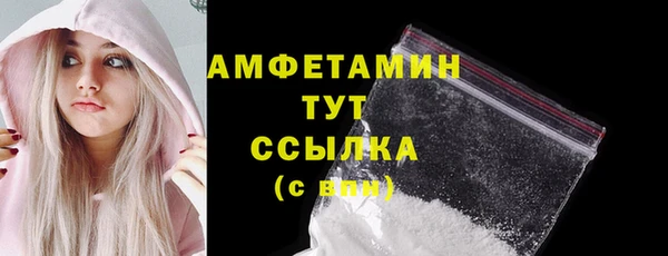 СК Алексин