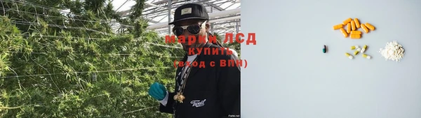 гидропоника Алзамай