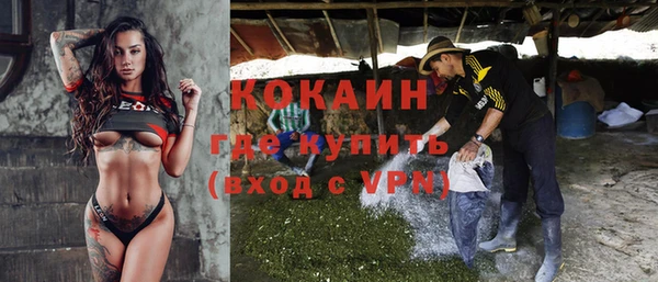 СК Алексин
