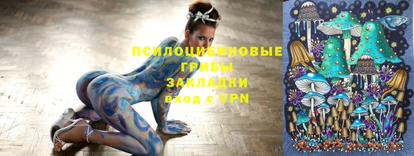 СК Алексин