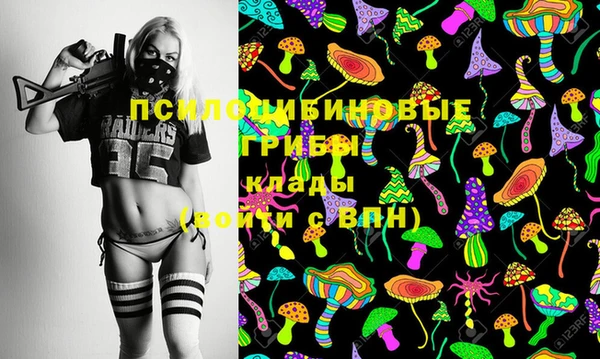 гидропоника Алзамай
