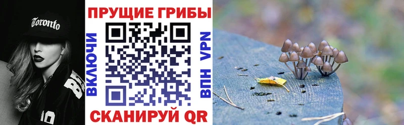 продажа наркотиков  Протвино  Псилоцибиновые грибы мицелий 