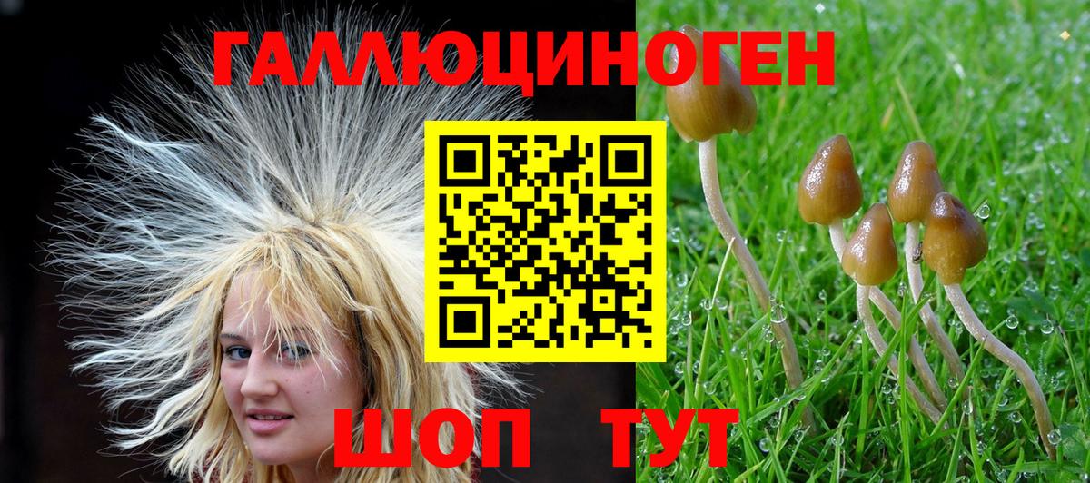 Псилоцибиновые грибы MAGIC MUSHROOMS Протвино