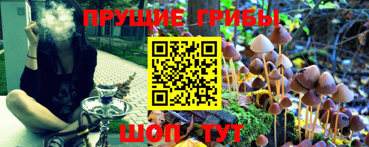 Протвино  Псилоцибиновые грибы ЛСД  Вход с VPN 